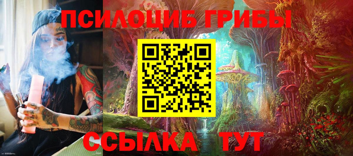 Донецк  Псилоцибиновые грибы Psilocybine cubensis  Вход с VPN 