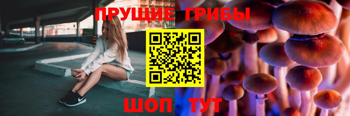 Галлюциногенные грибы мицелий Донецк